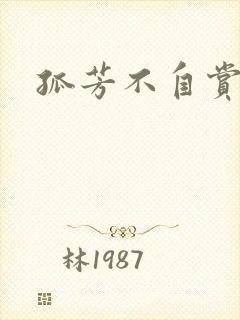 孤芳不自赏小说