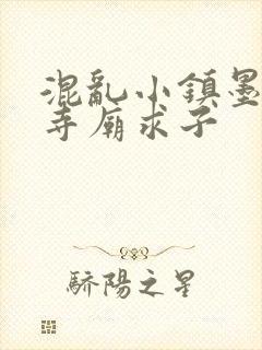 混乱小镇墨池砚寺庙求子封面