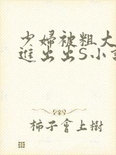 少妇被粗大猛进进出出S小说