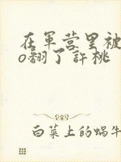 在军营里被cao翻了许桃