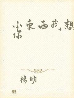 小东西我想弄坏你封面