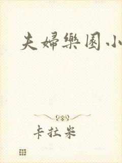 夫妇乐园小说封面