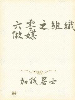 六零之组织给我做媒封面