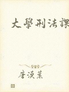 大学刑法课
