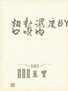 相对湿度BY大口吃肉