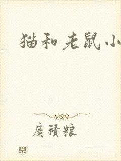 猫和老鼠小说