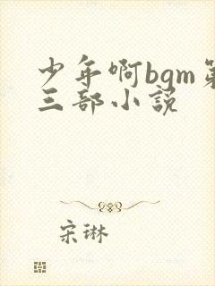 少年啊bgm第三部小说封面