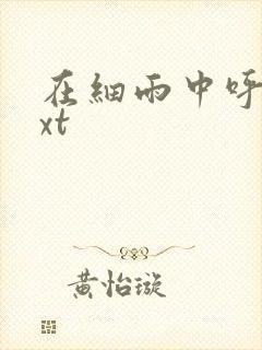 在细雨中呼喊txt