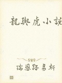 龙与虎小说