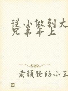 从小做到大骨科兄弟年上