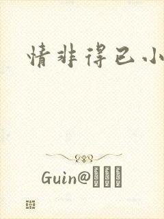 情非得已小说封面