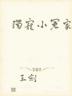 独宠小冤家封面
