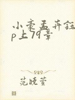 小豪孟卉钰慧三p上79章
