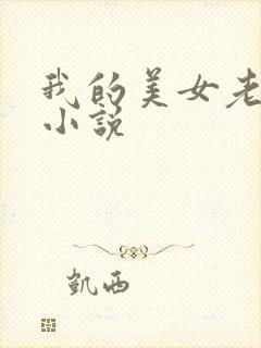 我的美女老板 小说封面