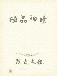 极品神瞳