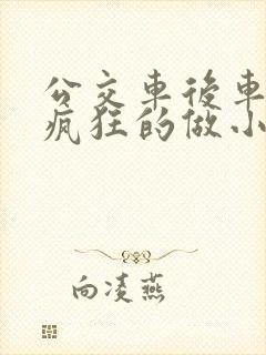 公交车后车座的疯狂的做小封面