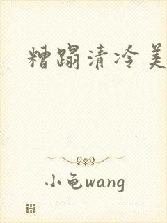 糟蹋清冷美人