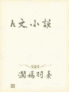 h文小说