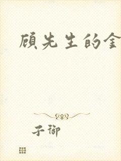 顾先生的金丝雀封面