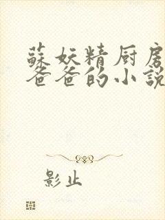 苏妖精厨房爹爹爸爸的小说封面