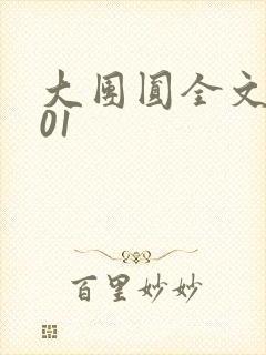 大团圆全文阅读01封面