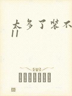 太多了装不下H11