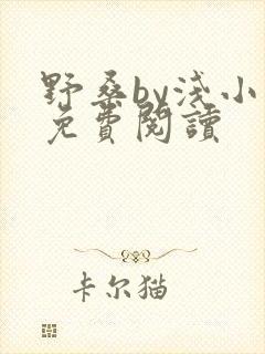 野桑by浅小说免费阅读