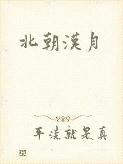 北朝汉月封面