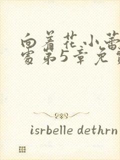 向着花小蕾的深处第5章免费阅读