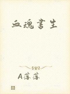 血魂书生封面