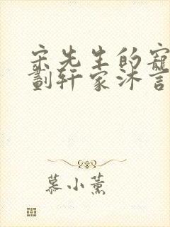 宋先生的宠妻计划轩家沐言