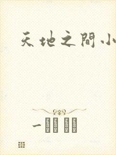 天地之间小说封面