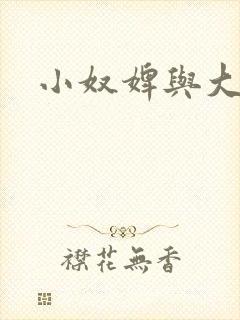 小奴婢与大少爷