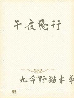 午夜飞行封面