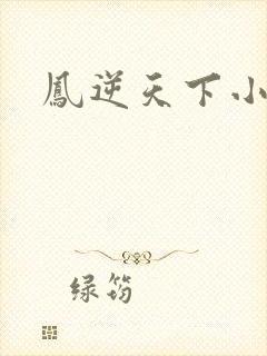 凤逆天下小说