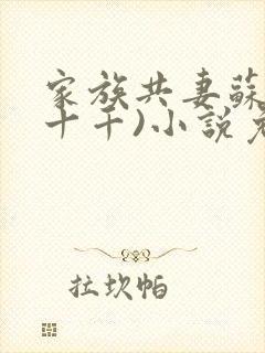 家族共妻苏苏(十千)小说免费