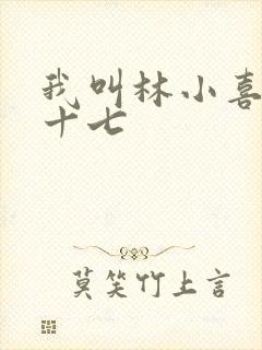 我叫林小喜今年十七