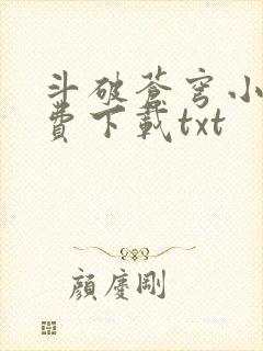 斗破苍穹小说免费下载txt封面