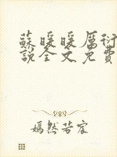 苏暖暖厉衍琛小说全文免费阅读