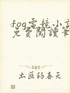 fog电竞小说免费阅读笔趣阁未删减版