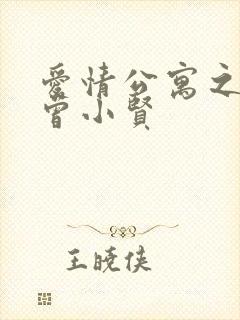 爱情公寓之极品曾小贤