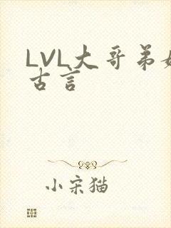 LVL大哥弟媳古言