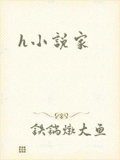h小说家