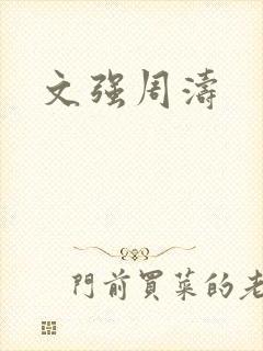 文强周涛封面