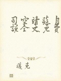 司空靖苏月汐小说全文免费阅读