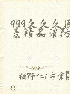 999久久久国产精品消防器材