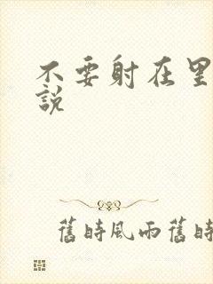 不要射在里面小说