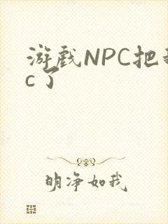 游戏NPC把我c了