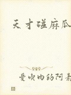 天才碰麻瓜封面