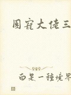 团宠大佬三岁半